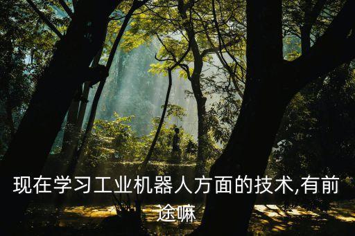 現(xiàn)在學(xué)習(xí)工業(yè)機(jī)器人方面的技術(shù),有前途嘛