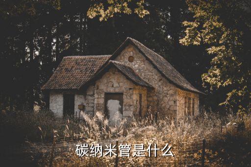 碳納米管，碳納米管是什么