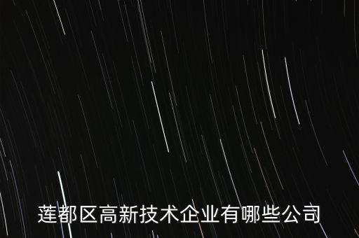 蓮都區(qū)高新技術(shù)企業(yè)有哪些公司