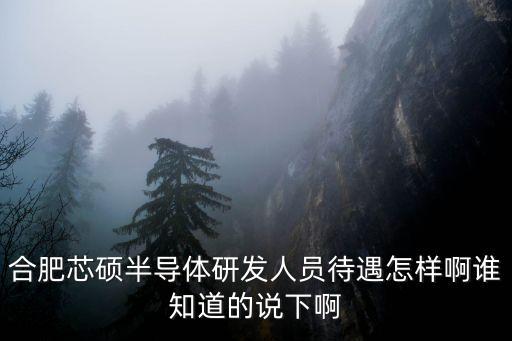 合肥芯碩半導(dǎo)體研發(fā)人員待遇怎樣啊誰知道的說下啊