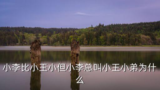 小李比小王小但小李總叫小王小弟為什么
