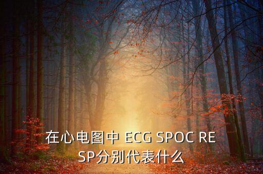 ecg什么意思，BPHRRRSPO2ECG各是什么意思