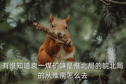 有誰(shuí)知道袁一煤礦嘛是淮北局的皖北局的從淮南怎么去