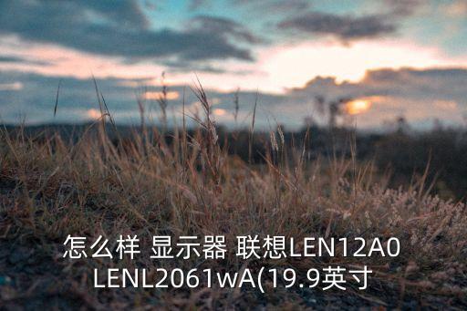 怎么樣 顯示器 聯(lián)想LEN12A0LENL2061wA(19.9英寸