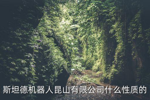 斯坦德機(jī)器人昆山有限公司什么性質(zhì)的