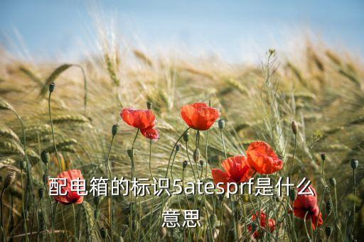 配電箱的標(biāo)識(shí)5atesprf是什么意思