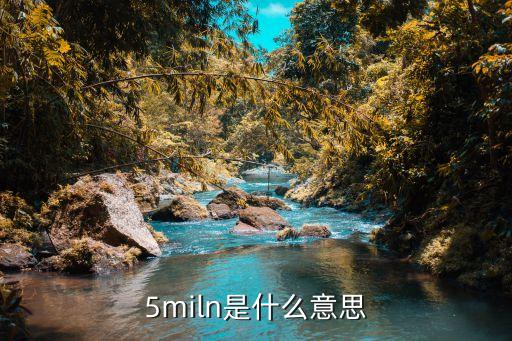 5miln是什么意思