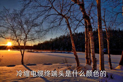 冷縮電纜終端頭是什么顏色的