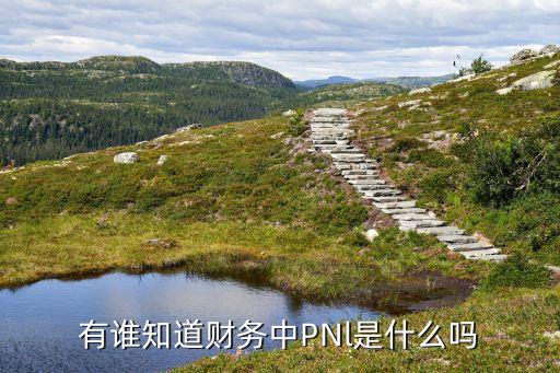 pnl，有誰知道財(cái)務(wù)中PNl是什么嗎