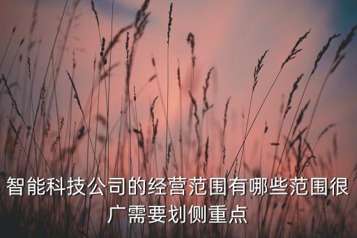 隆江自動化備有跟公司,自動化公司經(jīng)營范圍怎么寫好?哈哈哈