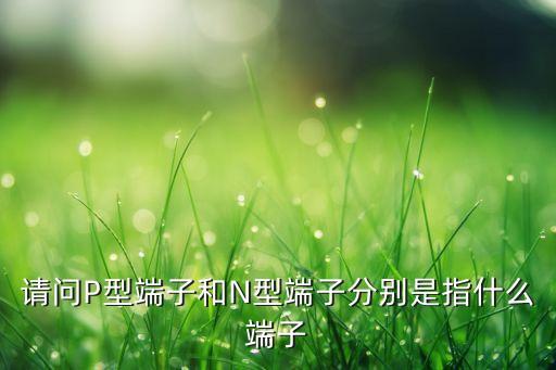 請問P型端子和N型端子分別是指什么端子