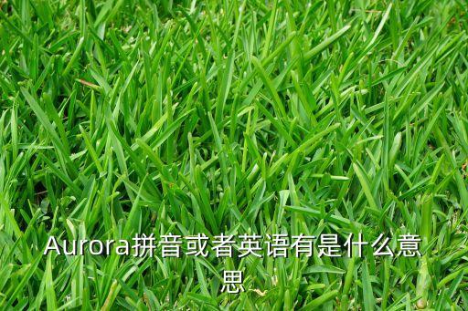 Aurora拼音或者英語有是什么意思