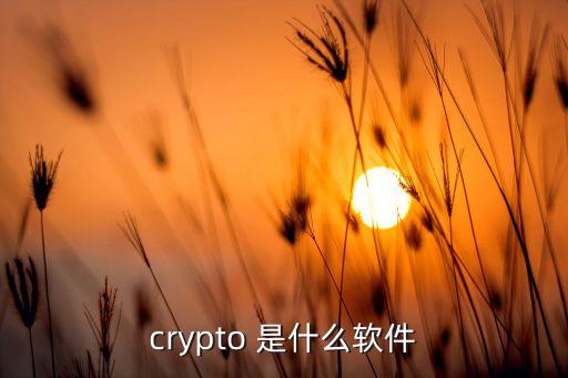 crypto 是什么軟件