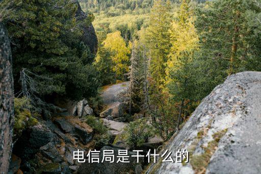電信局是干什么的
