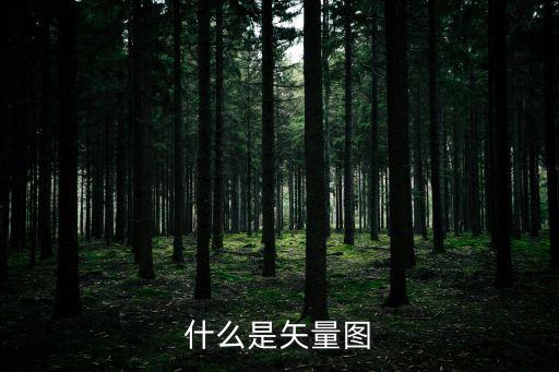 矢量圖，什么是矢量圖