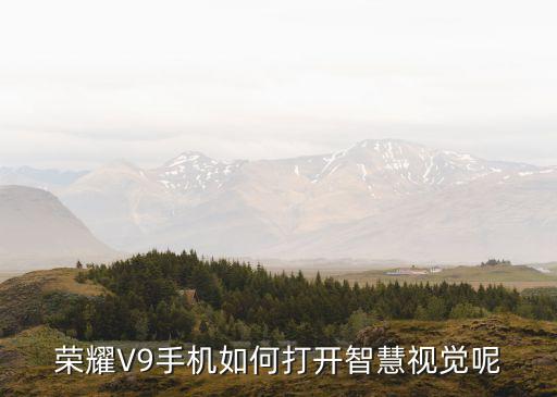 榮耀V9手機(jī)如何打開智慧視覺呢