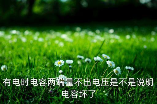有電時(shí)電容兩端量不出電壓是不是說(shuō)明電容壞了