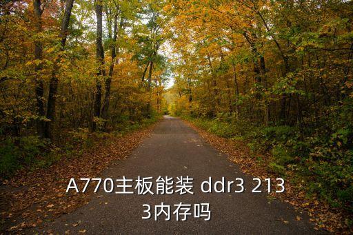 A770主板能裝 ddr3 2133內(nèi)存嗎