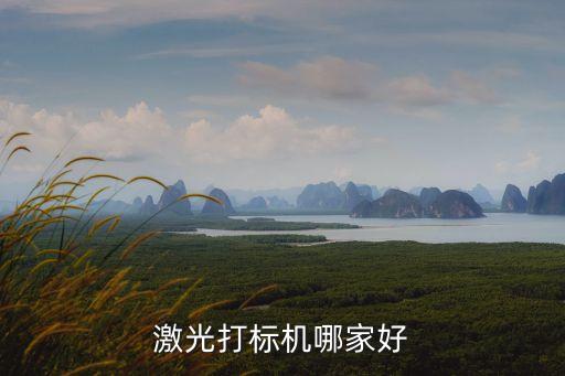 激光打標(biāo)機(jī)哪家好