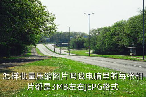 怎樣批量壓縮圖片嗎我電腦里的每張相片都是3MB左右JEPG格式