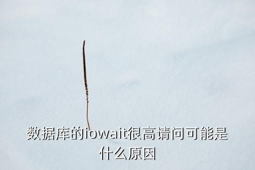 數(shù)據(jù)庫的iowait很高請問可能是什么原因