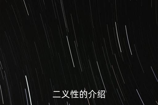 二義性的介紹