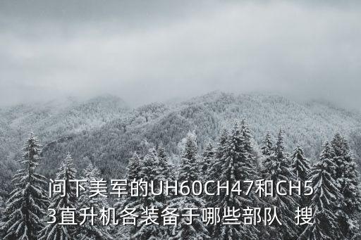 問(wèn)下美軍的UH60CH47和CH53直升機(jī)各裝備于哪些部隊(duì)  搜