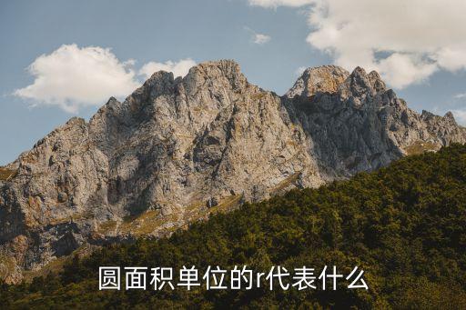 圓面積單位的r代表什么