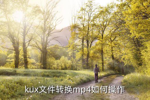 kux轉(zhuǎn)換mp4，KUX怎么轉(zhuǎn)換成MP4
