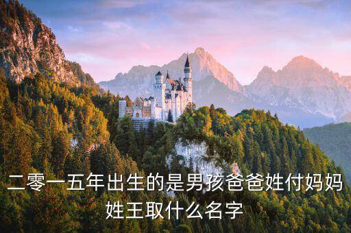 二零一五年出生的是男孩爸爸姓付媽媽姓王取什么名字