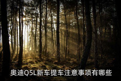 奧迪q5車間自動化設(shè)備