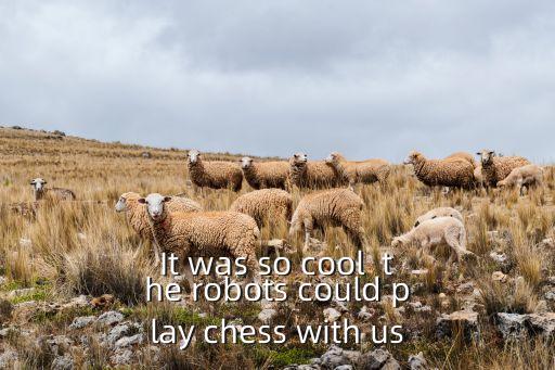 It was so cool  the robots could play chess with us