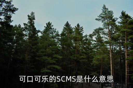 scms，如何關(guān)閉FB2000的SCMS位以使得電腦光纖輸出的SACD信號可以