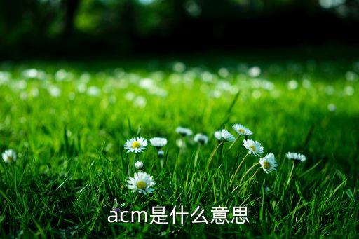 acm，ACM是什么意思