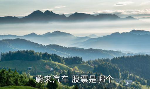 蔚來(lái)汽車(chē) 股票是哪個(gè)