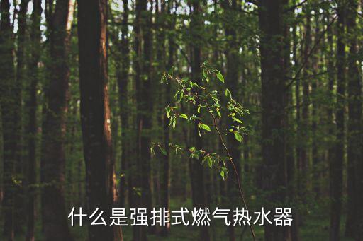 強(qiáng)排式燃?xì)鉄崴?，什么是?qiáng)排式燃?xì)鉄崴? /></a><a href=