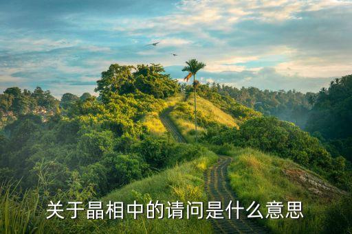 關(guān)于晶相中的請(qǐng)問(wèn)是什么意思