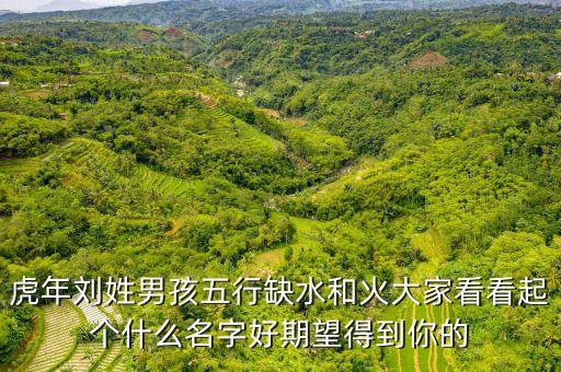 虎年劉姓男孩五行缺水和火大家看看起個(gè)什么名字好期望得到你的