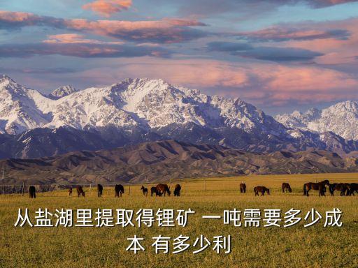 從鹽湖里提取得鋰礦 一噸需要多少成本 有多少利