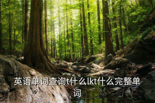 英語單詞查詢t什么lkt什么完整單詞