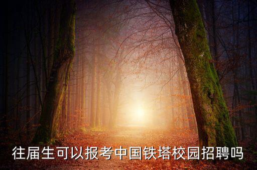 鐵塔能源，山東鐵塔智慧充電怎么樣才能把我充的錢給退回來