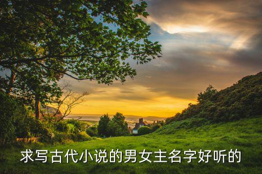 求寫古代小說的男女主名字好聽的