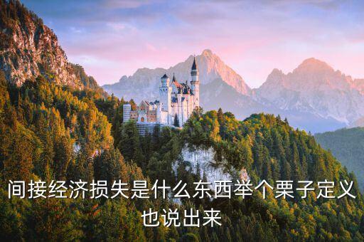 間接經(jīng)濟(jì)損失是什么東西舉個(gè)栗子定義也說(shuō)出來(lái)