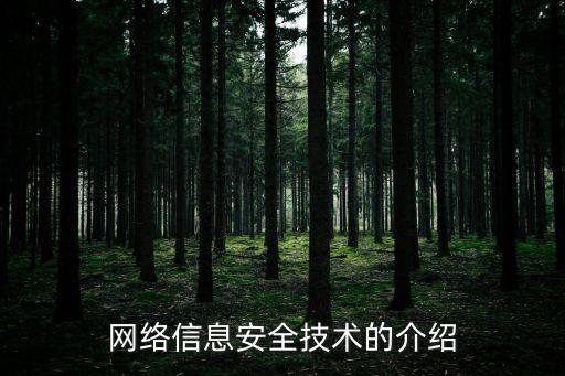 網(wǎng)絡(luò)信息安全技術(shù)的介紹