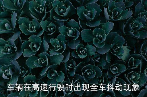 抖動現(xiàn)象，車輛在高速行駛時出現(xiàn)全車抖動現(xiàn)象