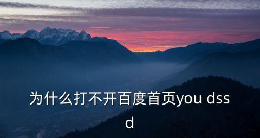 為什么打不開(kāi)百度首頁(yè)you dssd