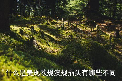 歐規(guī)，什么是美規(guī)歐規(guī)澳規(guī)插頭有哪些不同