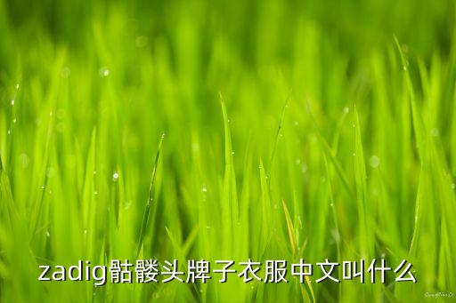 zadig，zadig骷髏頭牌子衣服中文叫什么