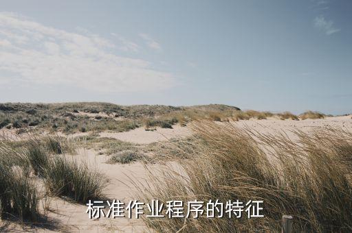 標(biāo)準(zhǔn)作業(yè)程序的特征