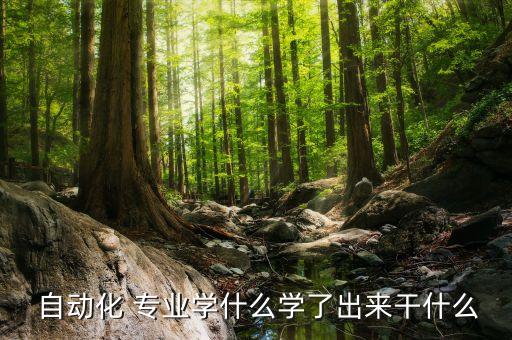  自動(dòng)化 專業(yè)學(xué)什么學(xué)了出來(lái)干什么